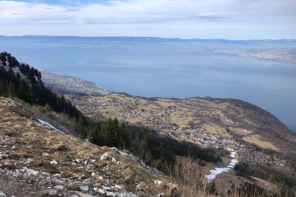 Studio Agreable Et Cosy Avec Vue Sur Les Memises Толлон Экстерьер фото